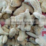Dried Whole Ginger Chinese Professional Factory "HOT SALE" Price thumbnail-3