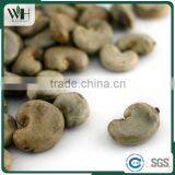 2016 Crop Dried Cashew in Shell thumbnail-5