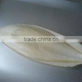 Hai Piao Xiao Dry Cuttlefish Bone for Sales thumbnail-2