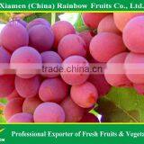 Fresh Fruits of Yunnan Xinjiang Red Sweet Globe Grape Table Grape thumbnail-6