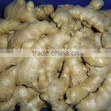Fresh Air Dried Ginger thumbnail-2