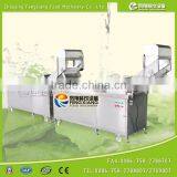 WA-1000 High Efficiency Vegetable Washer,vegetable and Fruit Washing Machine,vegetable Cleaning Machine thumbnail-5