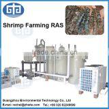 Commercial Indoor Shrimp Farming RAS