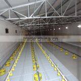 Poultry Control Shed Equipment for Breeder thumbnail-5