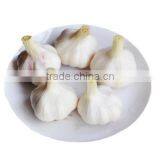 OULENO Red Onion Garlic Machine Slicing Machine Multifunctional Garlic Slices Slicing Machine Manufacturers Supply Machine Red d thumbnail-3