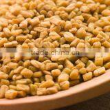 Fenugreek
