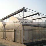 In Plastic Greenhouse Was Outside Shading thumbnail-1