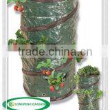 High Cost-effective PE Pop Up Strawberry Planter Bag thumbnail-1