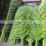 Palm Branch New Product Factory Outdoor Plastic Decor Leaf thumbnail-5