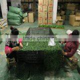 China Wholesale Many Size Artificial Plastic Boxwood Hedge Ornaments for Decorative thumbnail-6