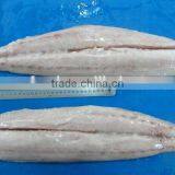 Frozen Mahi-mahi and Coryphaena Hippurus Fillet thumbnail-1