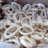 Frozen Squid Ring-Todarodes Pacificus thumbnail-1
