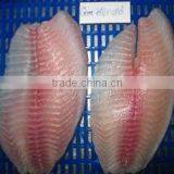 Tilapia Fillet thumbnail-1
