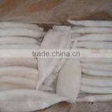 Frozen Illex Argentinus Squid Tube U5/U7/U10 thumbnail-1