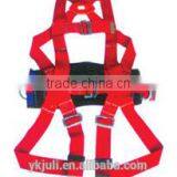 Polypropylene Safety Belt thumbnail-1