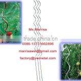 Flower/tomato Growing Spiral Support