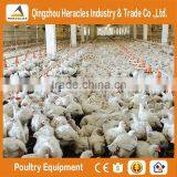 Trade Assurance Poultry Equipment Automatic Feeding System for Broiler thumbnail-2