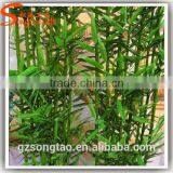 2015New Style Artificial Bamboo Plant / High Imitation Evergreen Bamboo for Decoration for Indoor &outdoor thumbnail-3