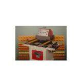 Automatic Paring Machine thumbnail-1