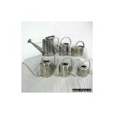 Sell Stainless Steel Watering Cans