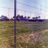 Field Fence