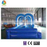 Double Lane Inflatable Water Slide, Dolphin Inflatable Water Slides, Ocean Theme Water Slide thumbnail-3