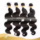 New Arrival Trio Brazilian Body Wave Top Quality