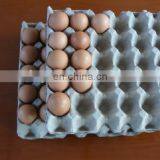 Waste Paper Recycling Machine thumbnail-3