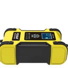 FOXSUR 12V24V 12A Touch Screen Pulse Repair LCD Fast Power Charging Wet Dry Lead Acid Digital LCD Input Voltage: 100-240V AC thumbnail-4