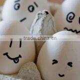 Super Fine CaCO3 Powder, Limestone 99% CaCO3 the Purest in Vietnam for Paint, Plastics, Rubber, Paper Making thumbnail-6