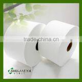 100%PET Spunlace Nonwoven Fabric
