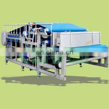 High Benefit Professional Apple Juicer Machine/Industrial Apple Juicer Garlic Juice and Ginger Juice Machine thumbnail-3