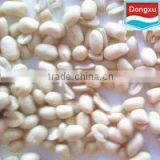 Blanched Peanut Kernels 41/51