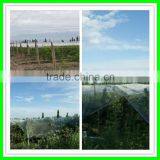 Durable Anti-hail Net,corrosion Proof Netting,woven Fabric Net thumbnail-6