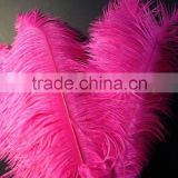 Wholesale ostrich feathers for wedding decoration