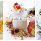 Automatic Kellogs Corn Flakes Extruder/Production Equipment thumbnail-2