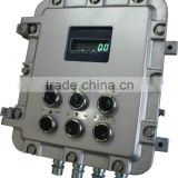 Weighing scale controller
