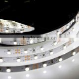 2 Year Warranty Waterproof LED Strip Light 3528 300led IP20 RGB White Available CE RoHS UL Listed