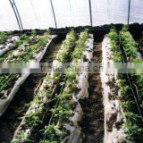 Greenhouse Equipment Irrigation System thumbnail-1