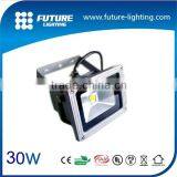 CE RoHS EMC Color Changing IP65 Outdoo 30W Led Christmas Lights Projector