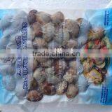 Hot Sale Frozen Shell Whole Baby Clam