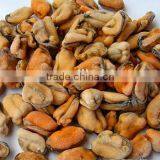 Frozen Greenshell Mussel Meat