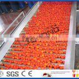 Tomato Paste Machine thumbnail-1