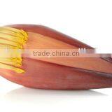 Banana Flower Suppliers