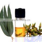 EUCALYPTUS ESSENTIAL OIL