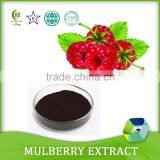 100% Organic or Mulberry Morus Alba Muberry Extract/mulberry Fruit Extract