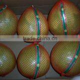 Citrus Fruits New Crop Wholesale Prices of Pomelo thumbnail-1