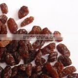 Raisin thumbnail-1
