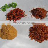 2013 New Crop Tomato Powder