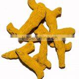 Exporters of Dry Turmeric Premium Quality thumbnail-3